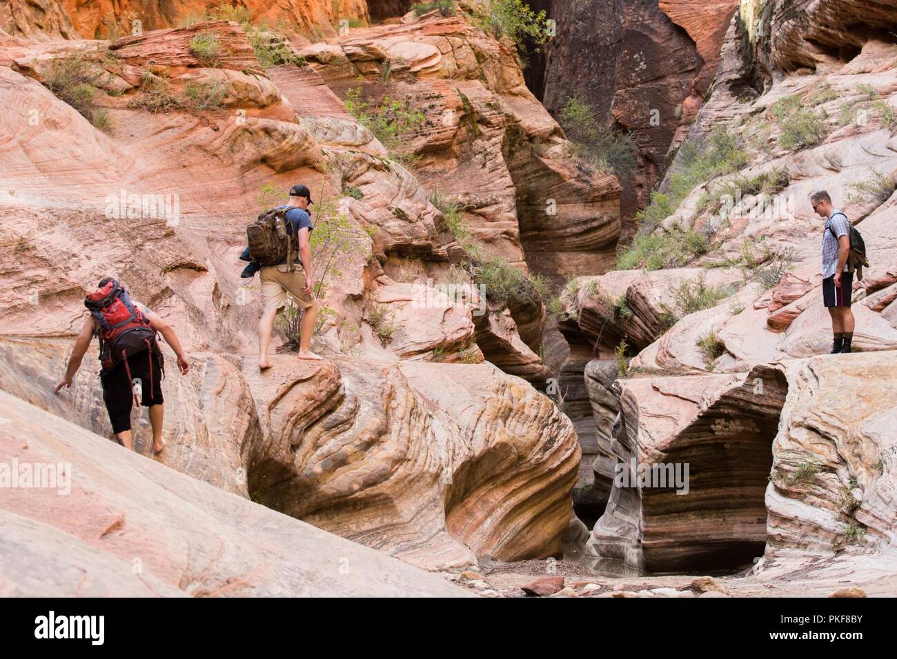 U.S. Marines hike Slot Canyons during a Single Marine Program (SMP) trip at Zion National Park, Utah, Aug. 4, 2018. During the trip, Marines had the chance to hike any trail of their choosing, many ranging in levels of difficulty and distance. Stock Photo