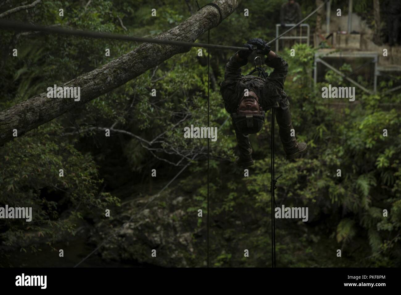 Jungle training operations course hi-res stock photography and images -  Page 2 - Alamy