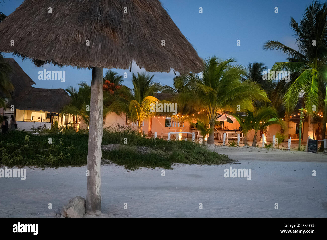 Palm trees and palapa on a Mexican beach Stock Photo