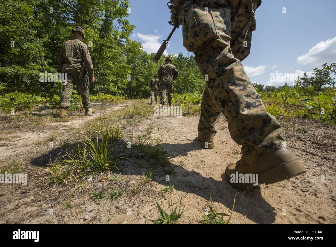 Scout snipers with 3rd Battalion, 25th Marine Regiment, conduct patrolling drills during Exercise Northern Strike at Camp Grayling, Mich., Aug. 11, 2018. Camp Grayling, the largest National Guard center in the country covering 147,000 acres, offers many large artillery, mortar, tank ranges and maneuver courses. Stock Photo