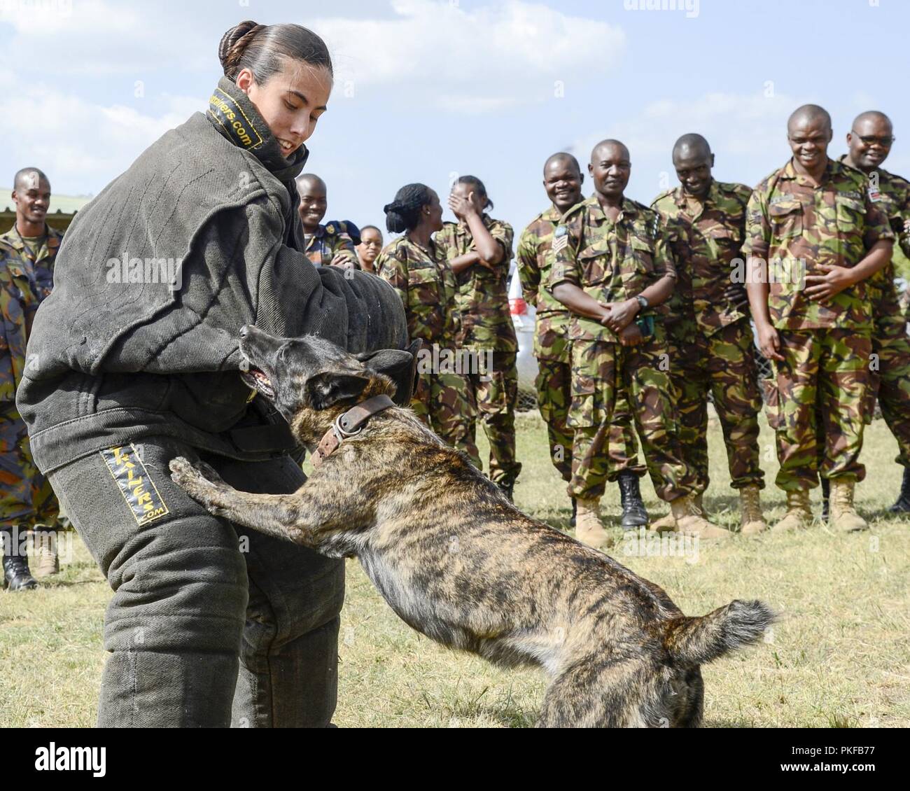 Master at Arms 1st Class Kristina Vargas, the Kennel Master assigned to Camp Lemonnier, conducts patrol work and demonstrates different techniques for members of the Kenyan Defense Force's 1st Canine Regiment during a Military Working Dog knowledge exchange, in Nairobi, Kenya, August 7, 2018. The exchange gave a chance for American and Kenyan forces to learn and work with each other to have a better understanding of each other's capabilities. Stock Photo