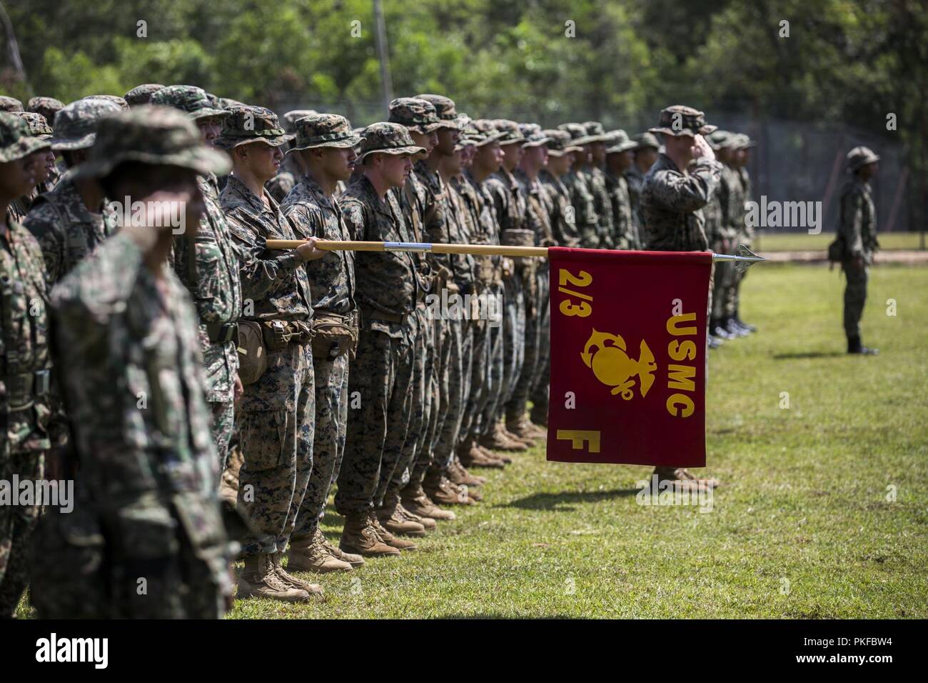 U.S. Marine Corps 2nd Battalion 3rd Marines Fox Company and 22nd 