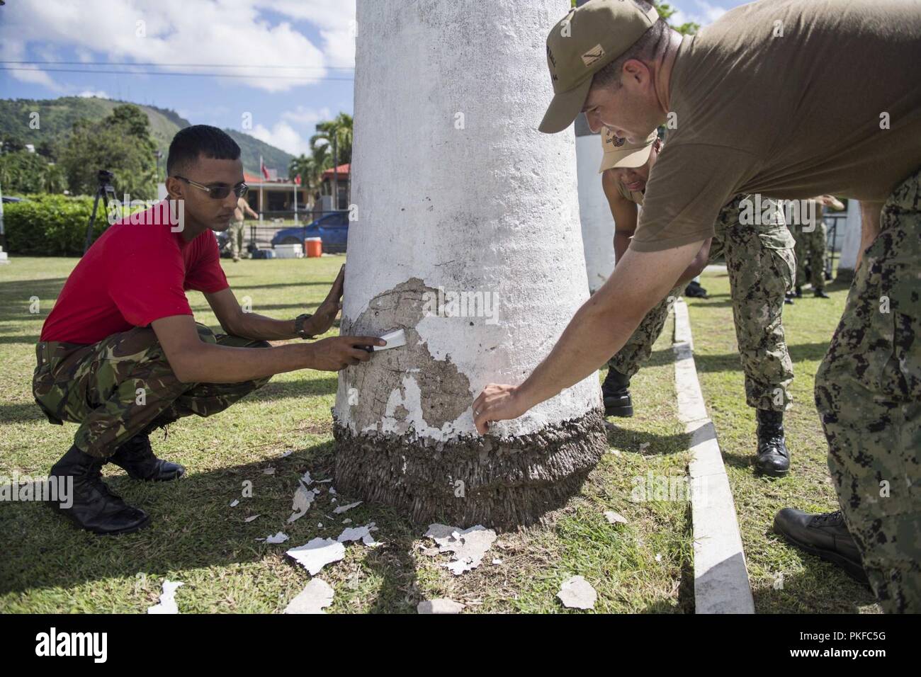Trinidad and tobago defense force hi-res stock photography and images ...