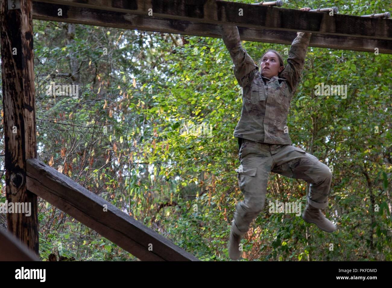 Medics of the forest: which representatives of the animal world clean the nature 19 Medics of the forest: which representatives of the animal world clean the nature 98