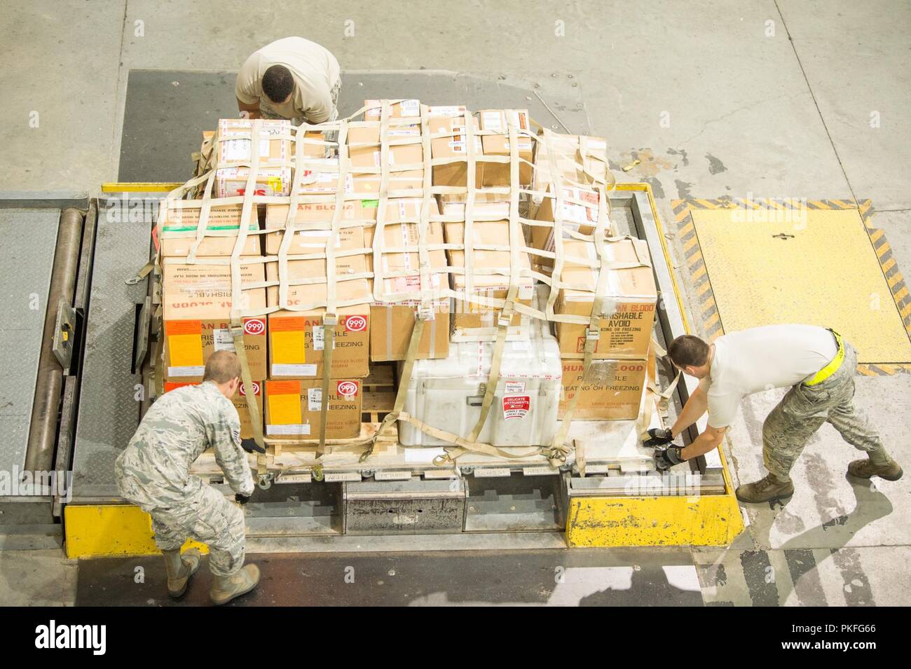 Team Dover Airmen with the 436th Aerial Port Squadron Special Handling section palletize a shipment of blood bound for overseas Aug. 2, 2018, at Dover Air Force Base, Del. The shipment of blood products must reach their overseas destination within 72 hours of being packaged at Joint Base McGuire-Dix-Lakehurst, requiring precise coordination from the various sections involved. Stock Photo
