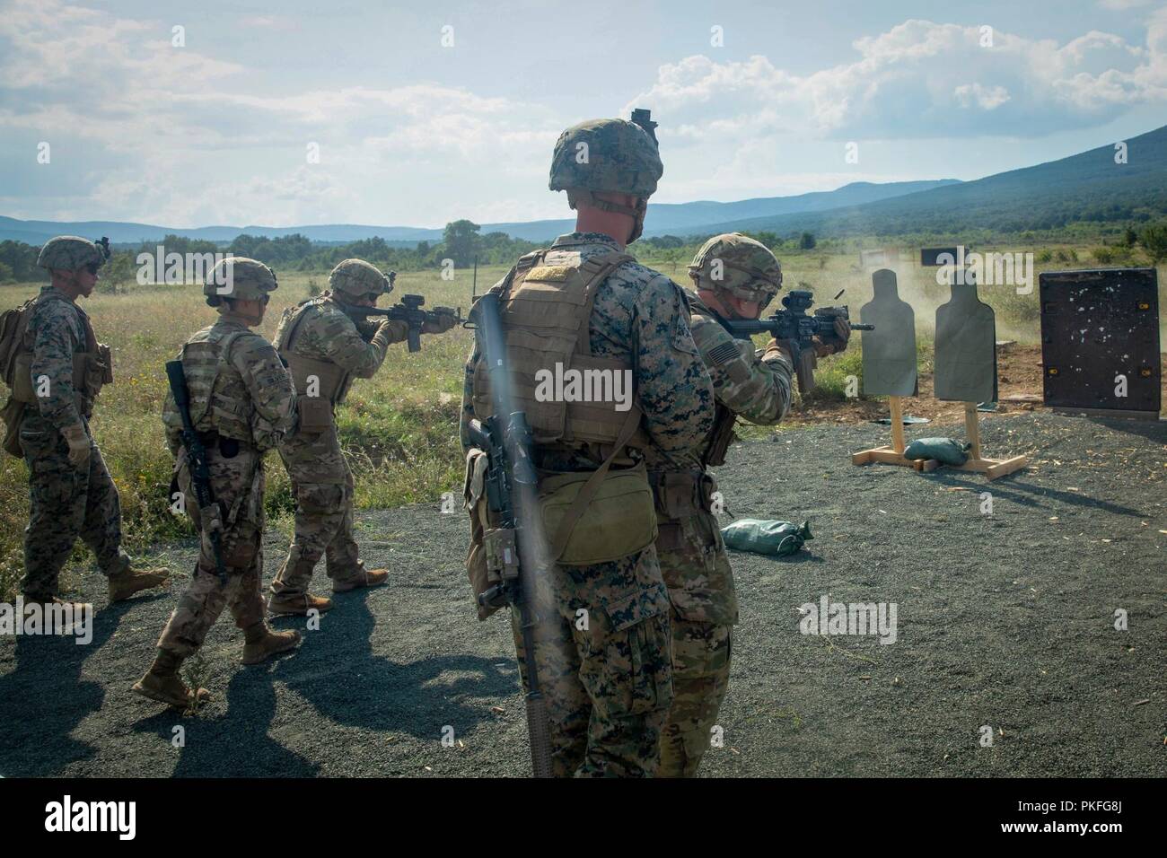 U.S. Marines with Black Sea Rotational Force 18.1 supervise U.S. Army soldiers executing an advanced portion of a Combat Marksmanship Program range during Exercise Platinum Lion 18 at Novo Selo Training Area, Bulgaria, Aug. 5, 2018. Platinum Lion is an annual field training exercise that reinforces relationships in a joint training environment, builds understanding of partner nation tactics, techniques and procedures, and increases interoperability with Allied and partner forces. Stock Photo