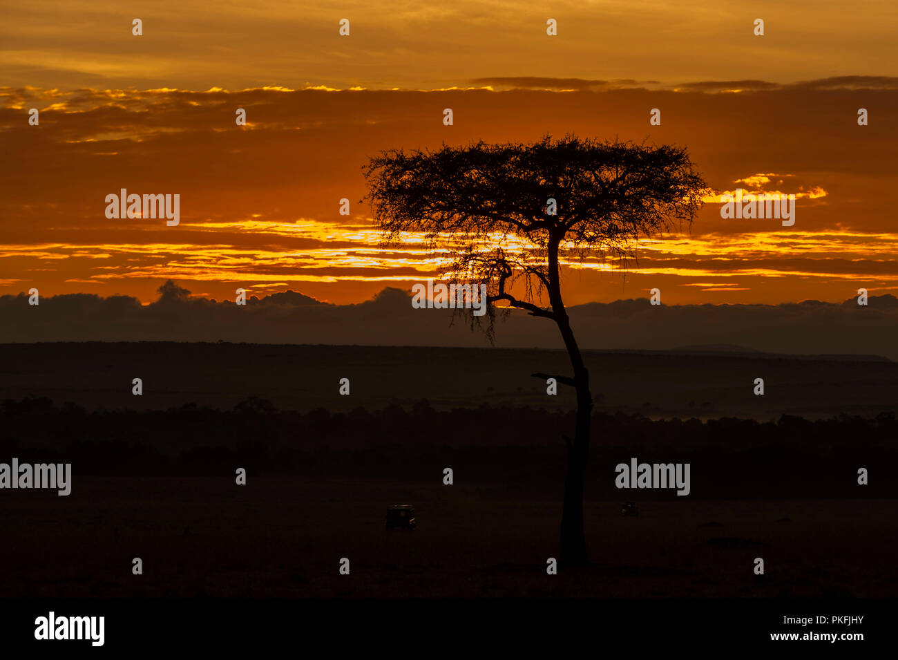 Sunset Masai Mara Kenya East Africa Stock Photo - Alamy