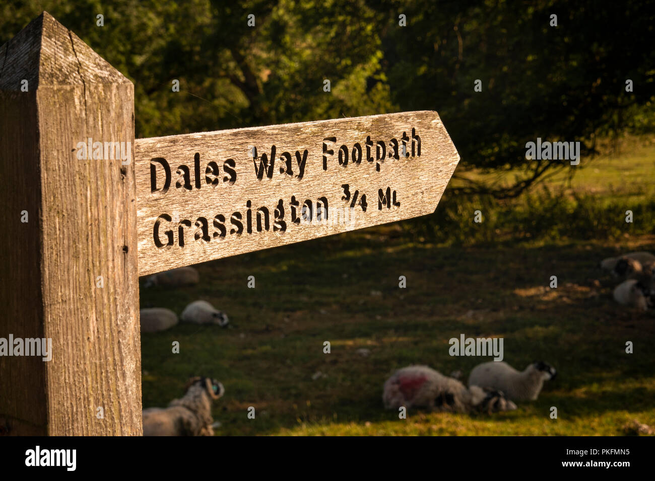 UK, Yorkshire, Wharfedale, Linton Falls, Dales Way wooden public footpath sign to Grassington Stock Photo