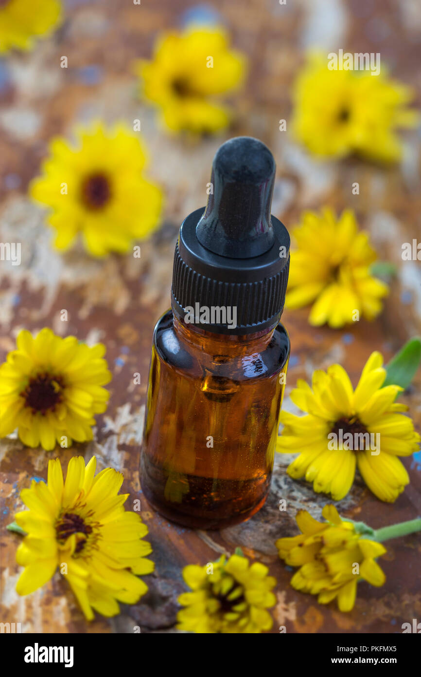 herbal medicine Calendula. Essential aroma oil with calendula flowers on wooden background. . Stock Photo