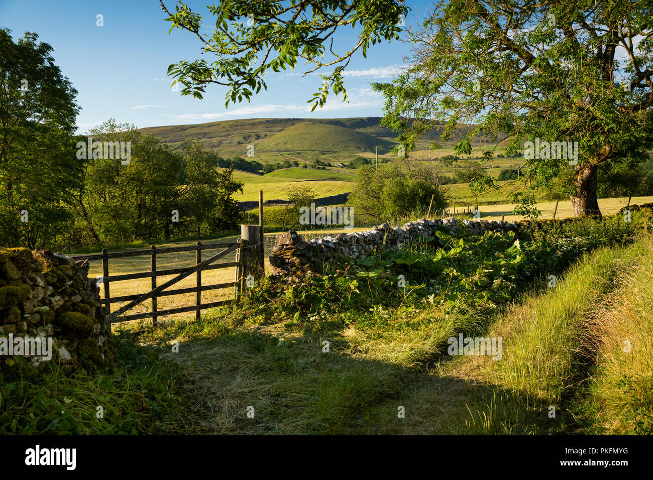 UK, Yorkshire, Wharfedale, Linton in Craven, field gate in green lane ...