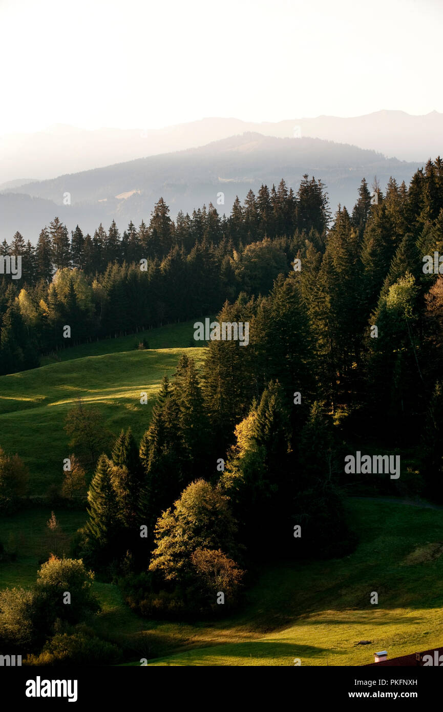 Austrian wald hi-res stock photography and images - Alamy