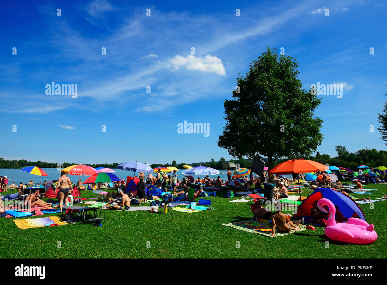 Public outdoor swimming pool, Wake Lake beach, Woerth an der Isar, Eastern Bavaria, Lower Bavaria, Bavaria, Germany Stock Photo