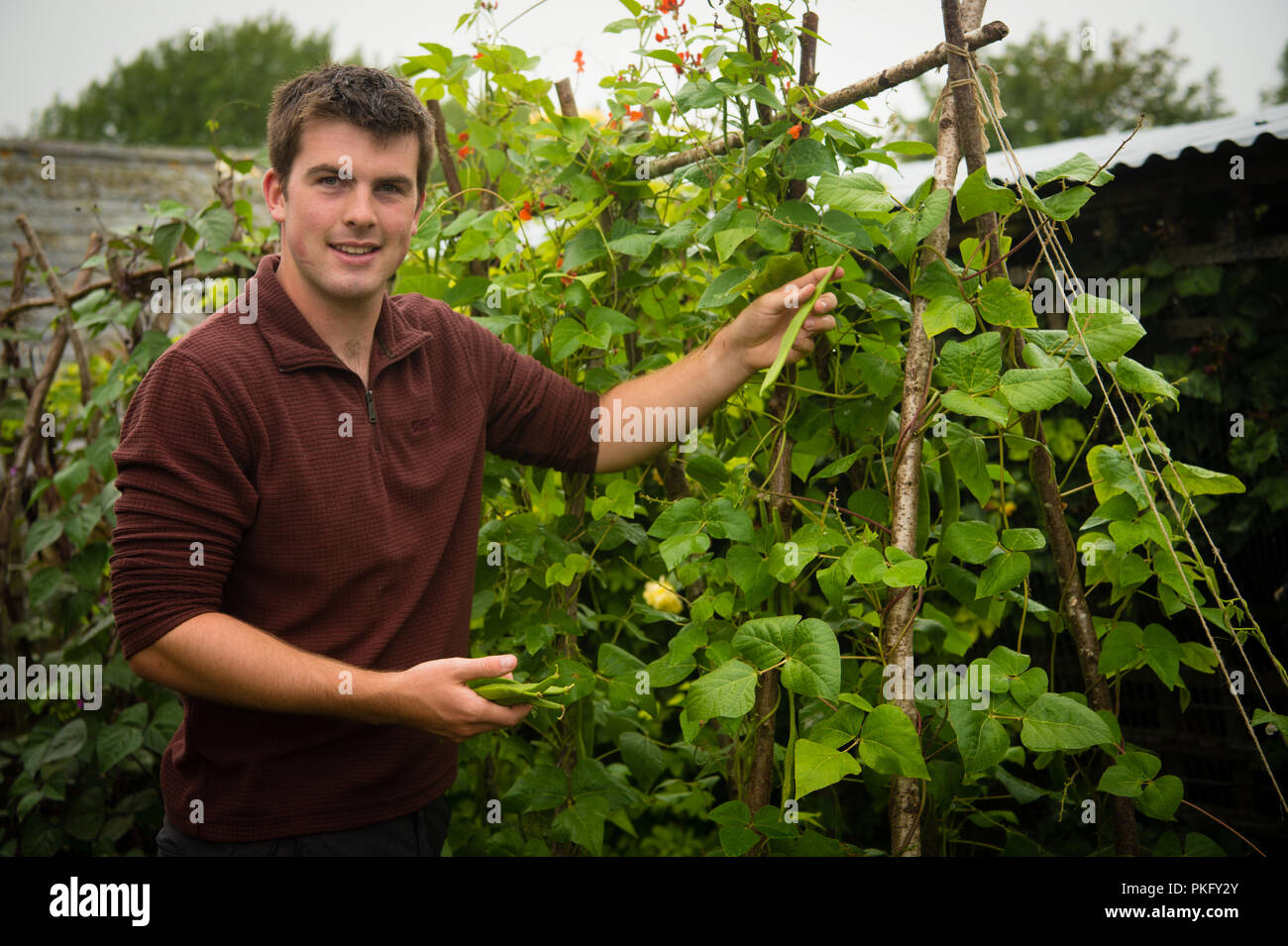 Huw Richards , young welsh celebrity video blogger and campaigning organic vegetable grower, in his kitchen garden at Tregaron, Wales UK Stock Photo