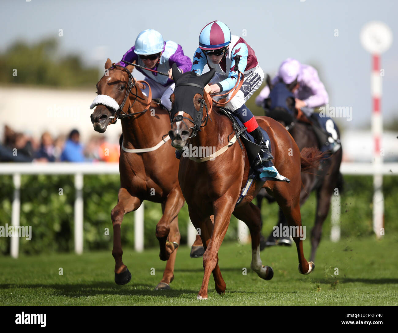 Stay Classy ridden by David Egan (right) wins the British Stallion Studs EBF ÔCarrie Red' Fillies' Nurseryduring day two of the 2018 William Hill St Leger Festival at Doncaster Racecourse, Doncaster. Stock Photo