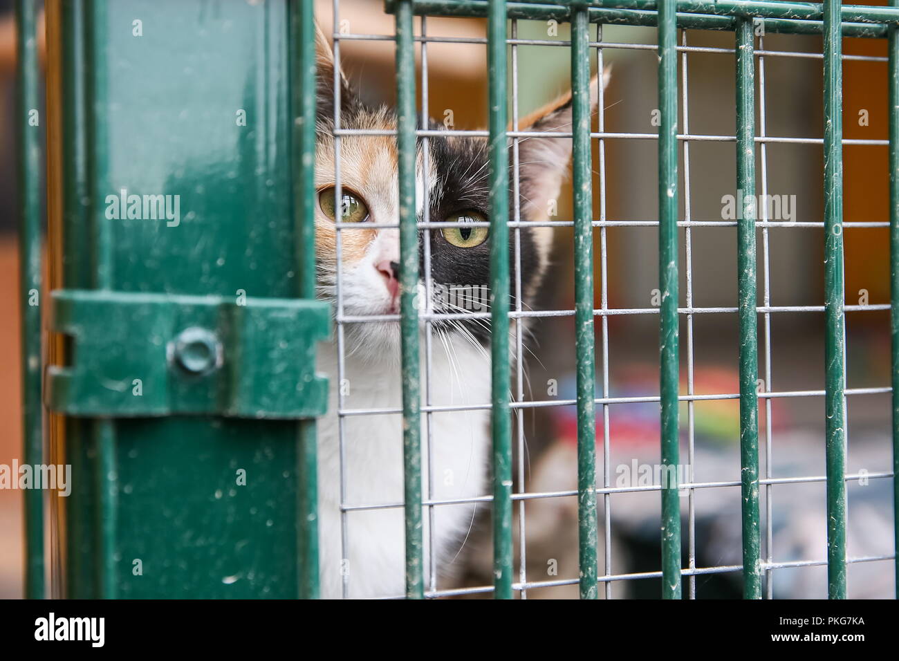 Is there a shelter in Moscow for mother and child Is there a shelter in Moscow for mother and child