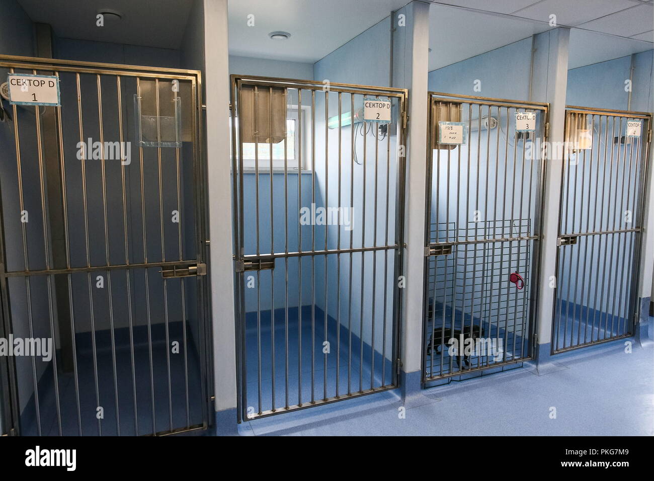 Is there a shelter in Moscow for mother and child Is there a shelter in Moscow for mother and child