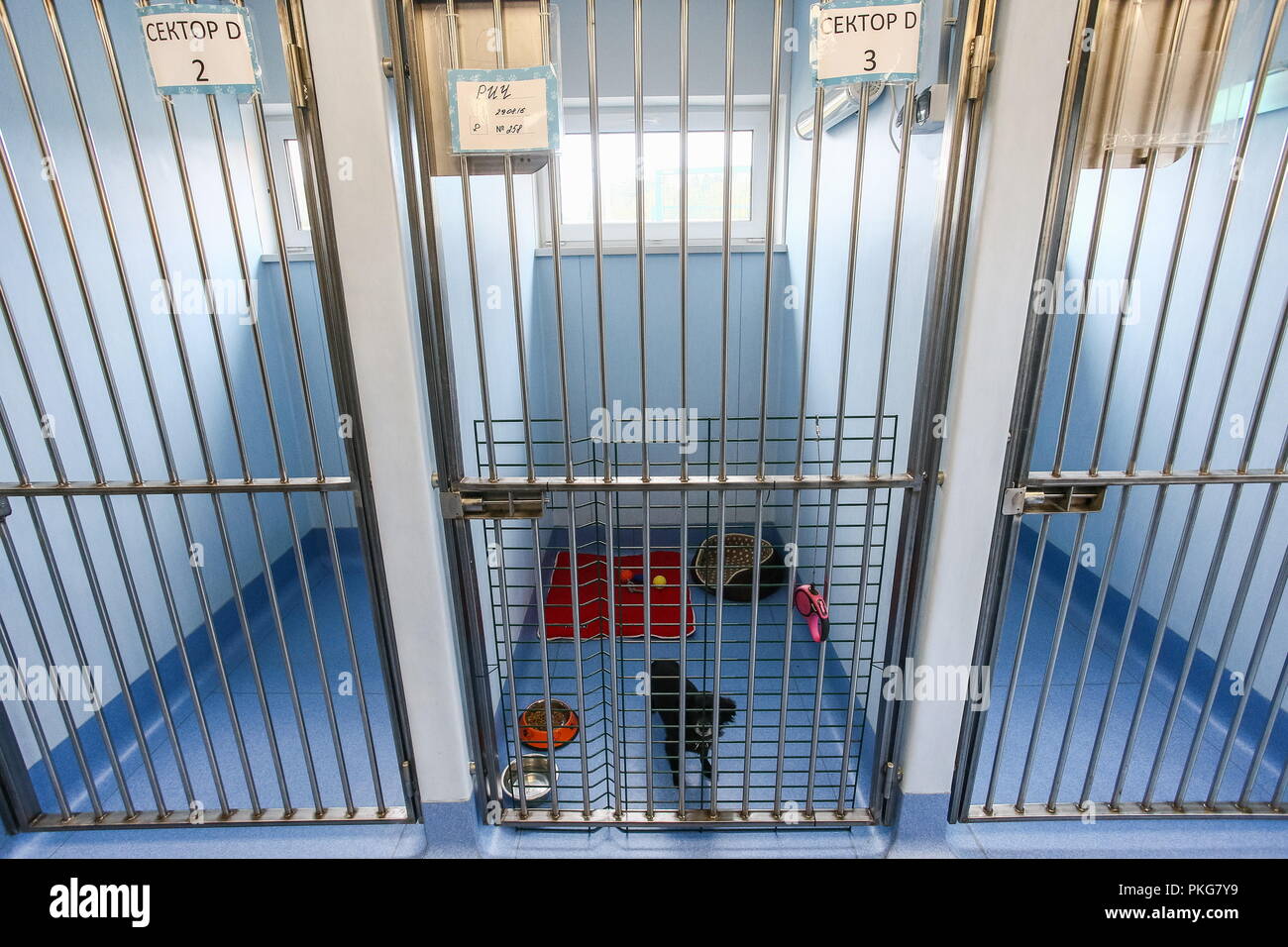 Is there a shelter in Moscow for mother and child Is there a shelter in Moscow for mother and child
