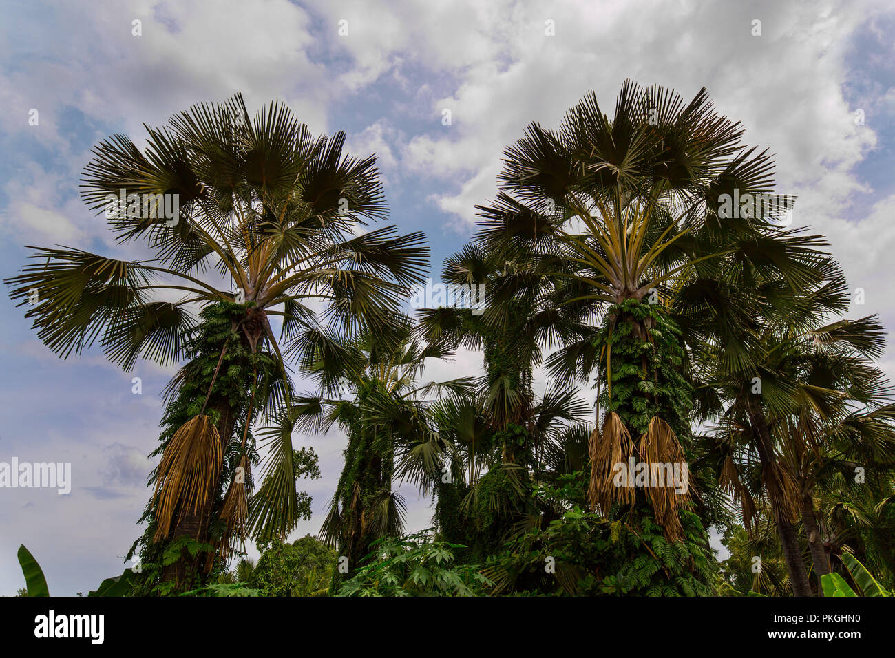 Economic importance hires stock photography and images Alamy