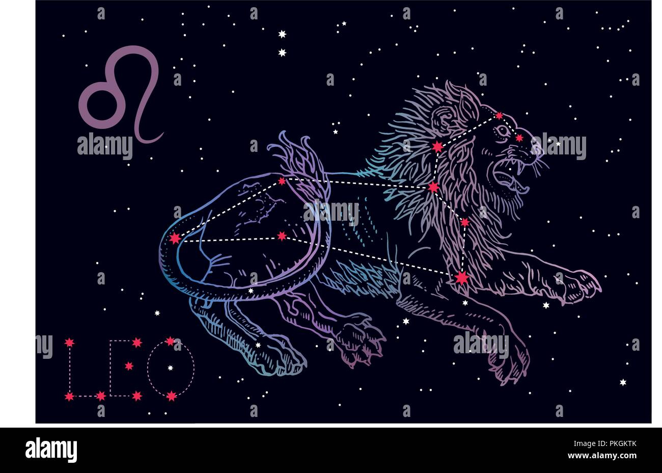 Leo zodiac sign and constellation. Lying lion on a cosmic blue background with stars. Horoscope astrology, astronomy, fantasy, mythology. Vintage engraving tattoo style hand drawn vector illustration. Stock Vector