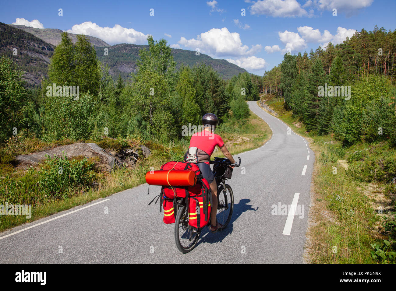 Traveling cyclist rides a cycle route along scenic forest road in Southern Norway Stock Photo