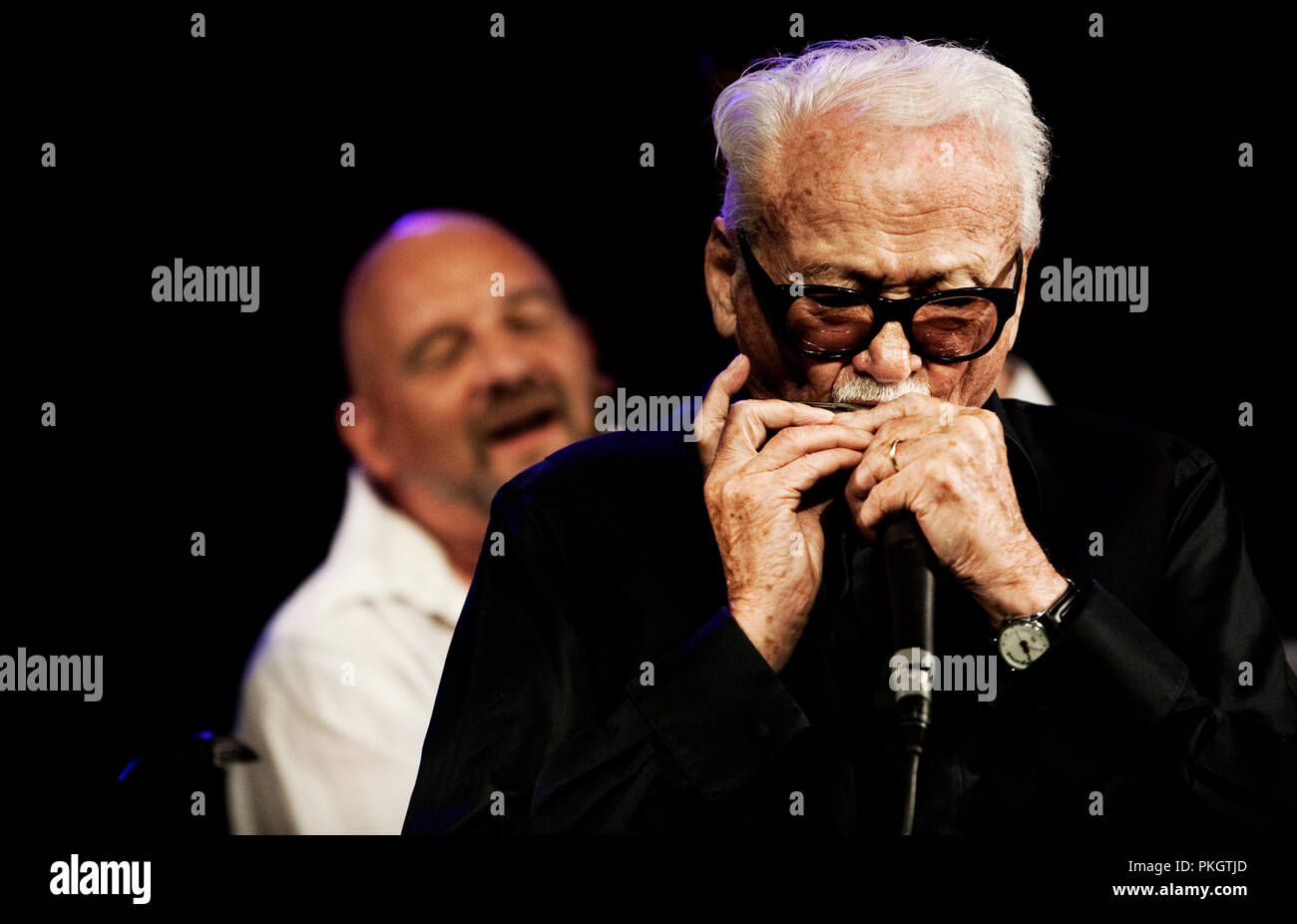 Belgian jazz harmonica musician Toots Thielemans at the Jazz Middelheim