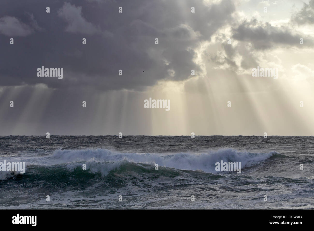 Stormy sea sky with sunbeams between clouds Stock Photo
