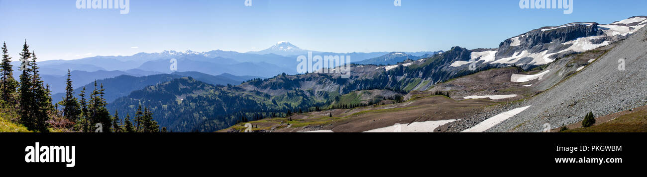 Panoramic view of Mt. Rainier while hiking Summerland to Panhandle Gap Stock Photo