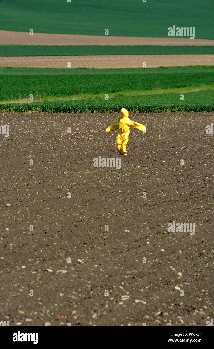 Scarecrow with a yellow suit in the middle of a plowed field and with young shoots, Puy de Dome department, Auvergne, France Stock Photo