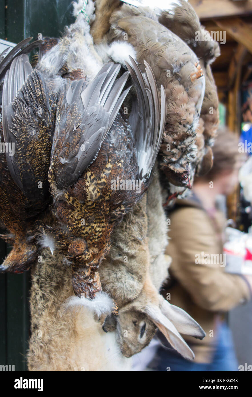 Hanging game in a butchers, London, UK Stock Photo Alamy