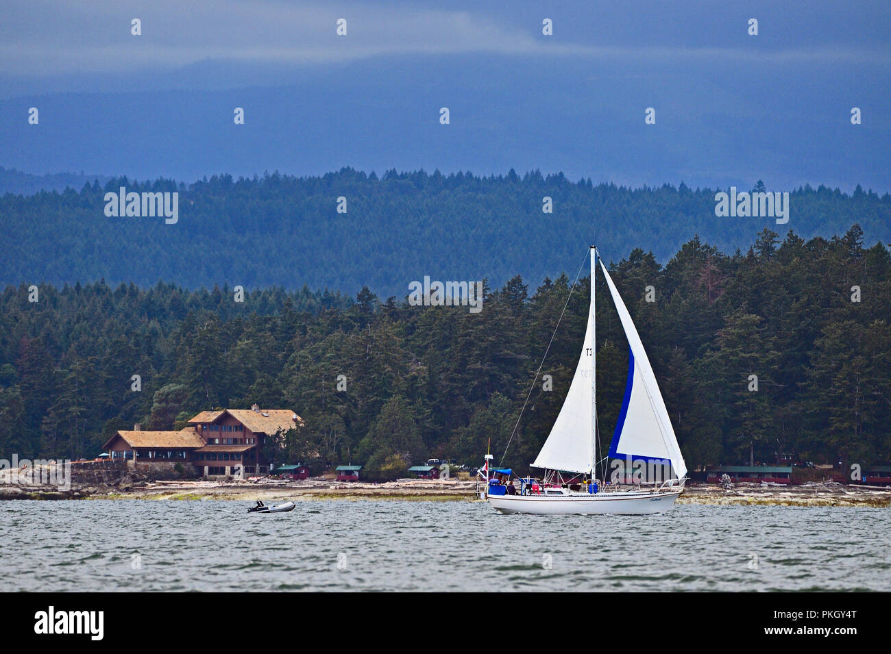 A sail boat enjoying the wind cruising along the shore line near Yellow Point on Vancouver Island British Columbia Canada Stock Photo