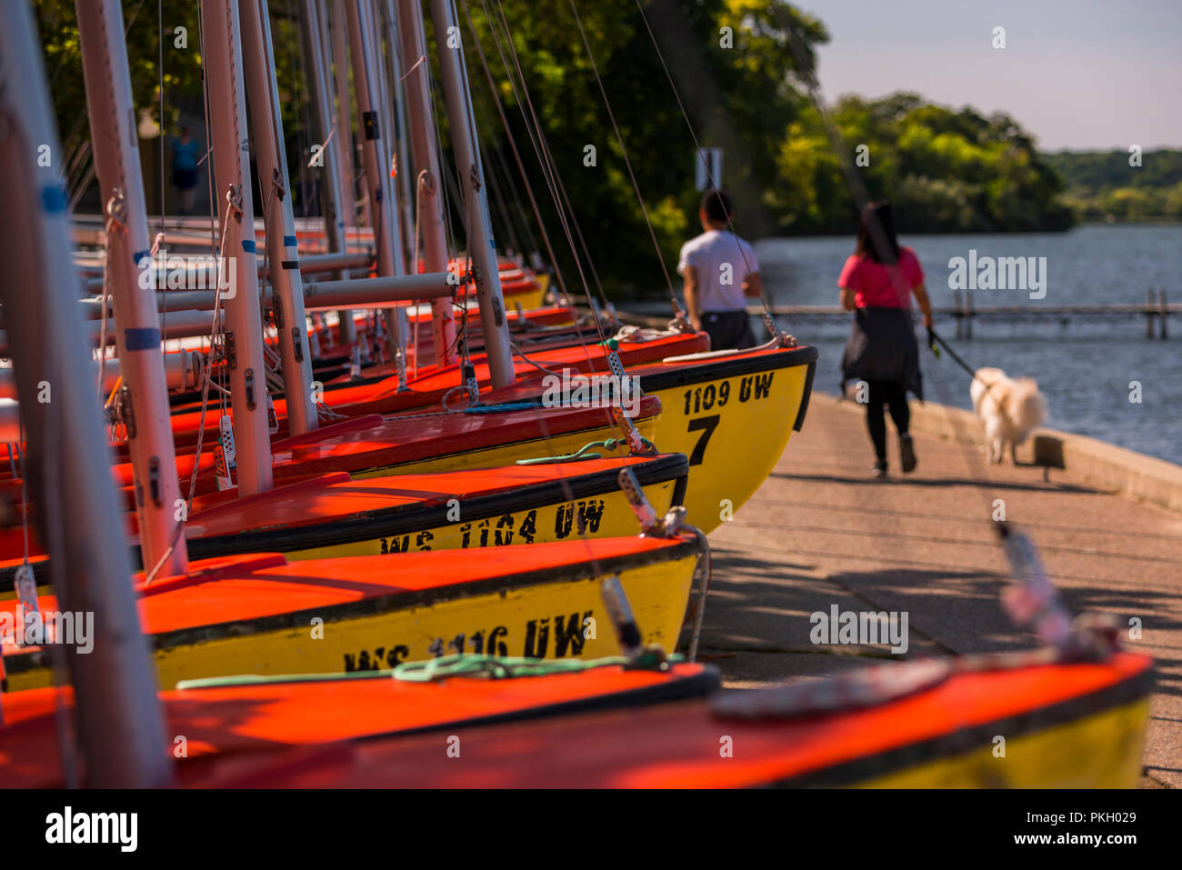 Sailboats on shore of Lake Mendota Stock Photo Alamy
