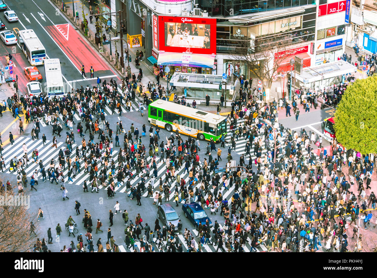 TOKYO, Japan - Jan 14 2017: Shibuya crossing pedestrian