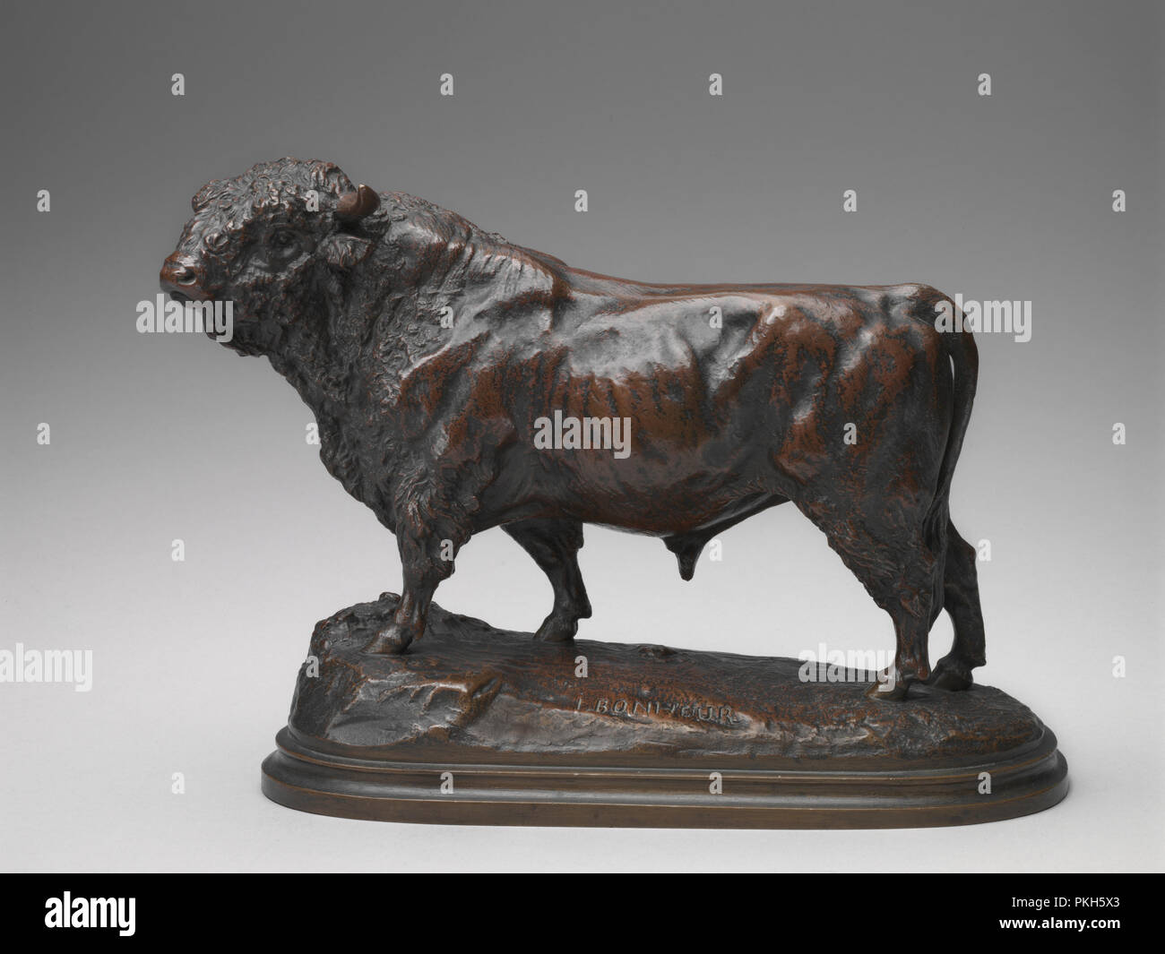 Standing Angus Bull. Dated model second half 19th century. Dimensions
