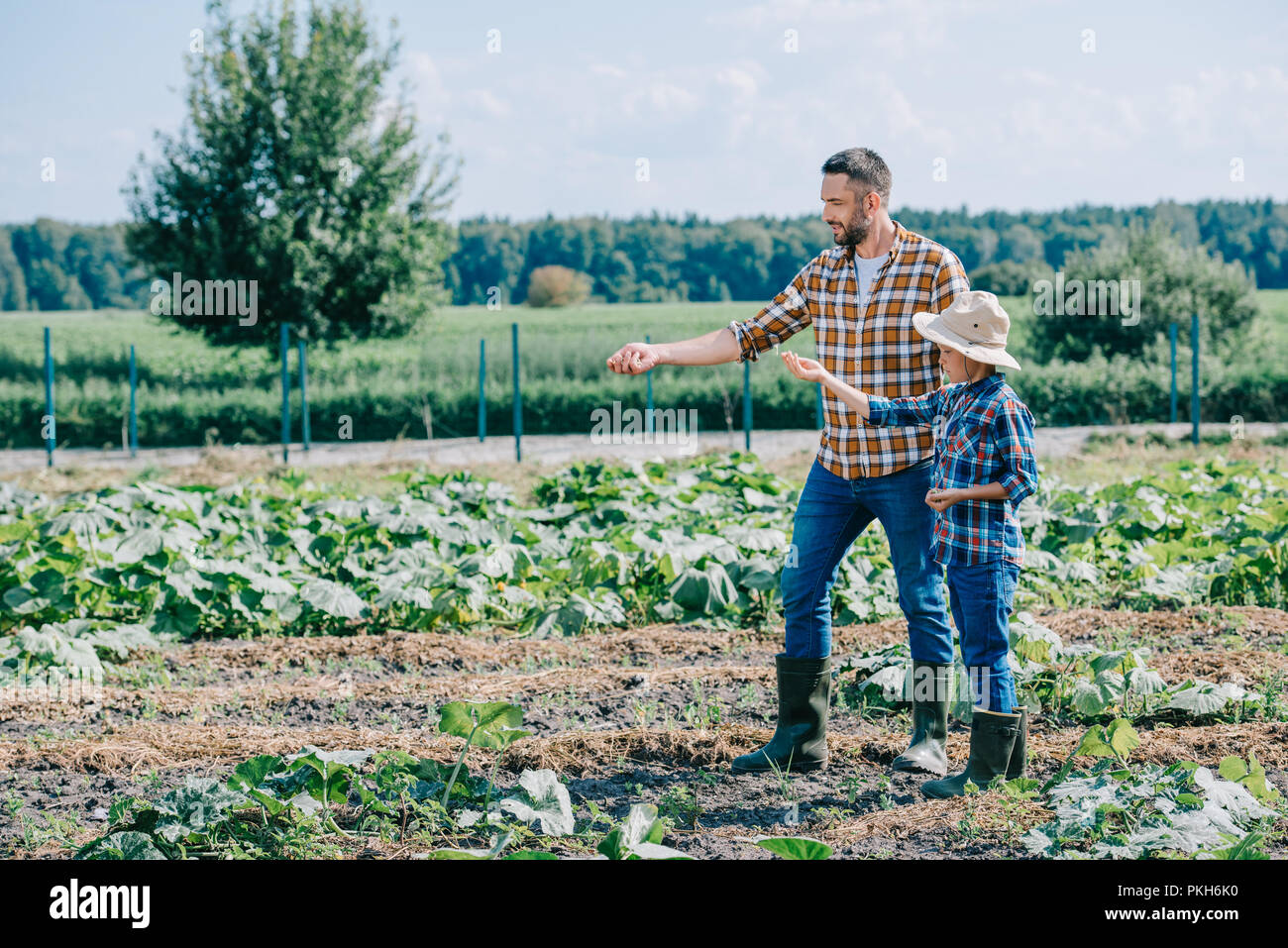 father and son planting seeds together at farm Stock Photo - Alamy