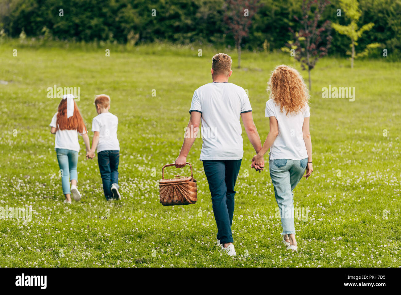back view of family holding hands and walking with picnic basket in park Stock Photo