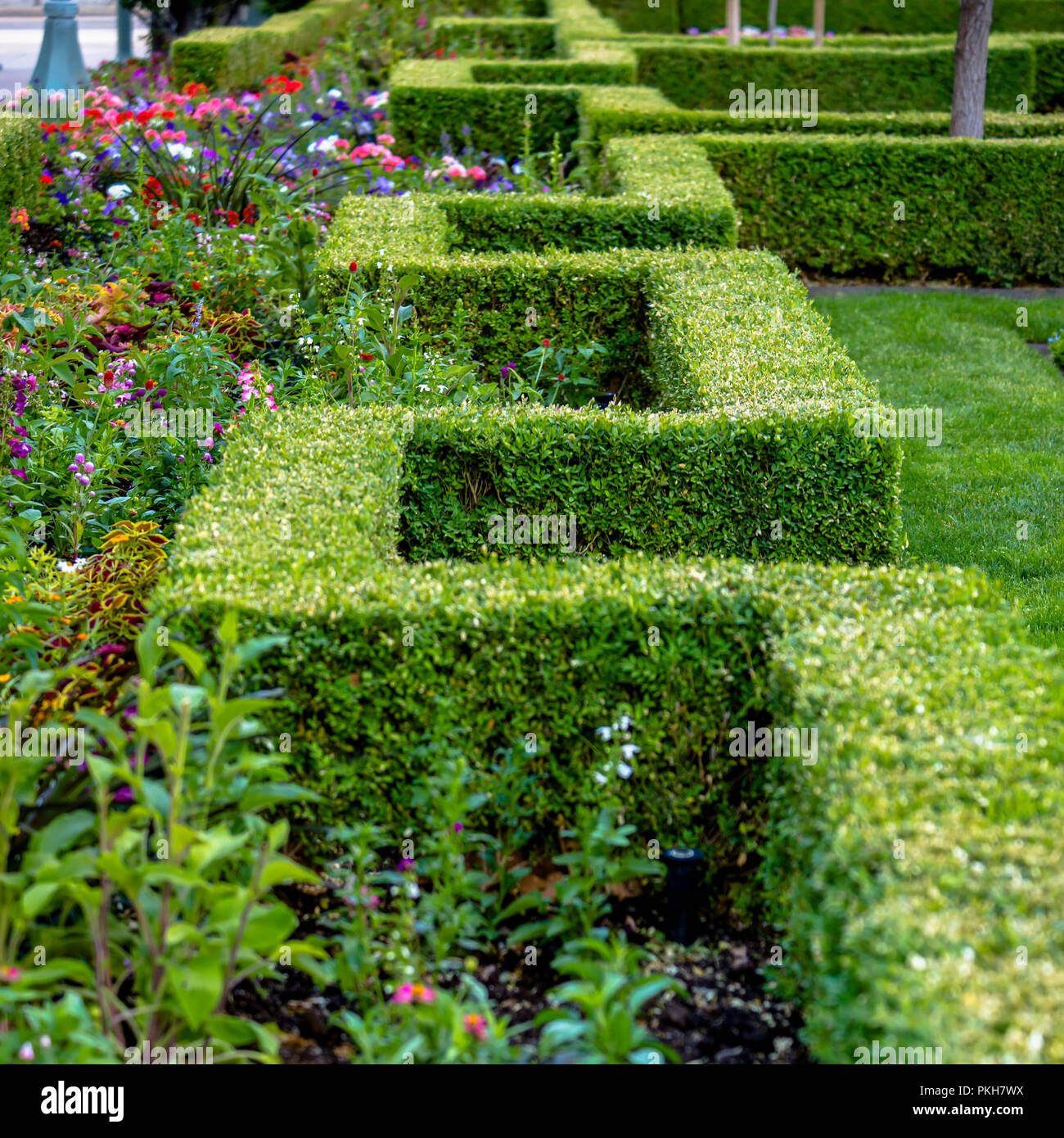 Rectangular hedge and flowers in a park Stock Photo