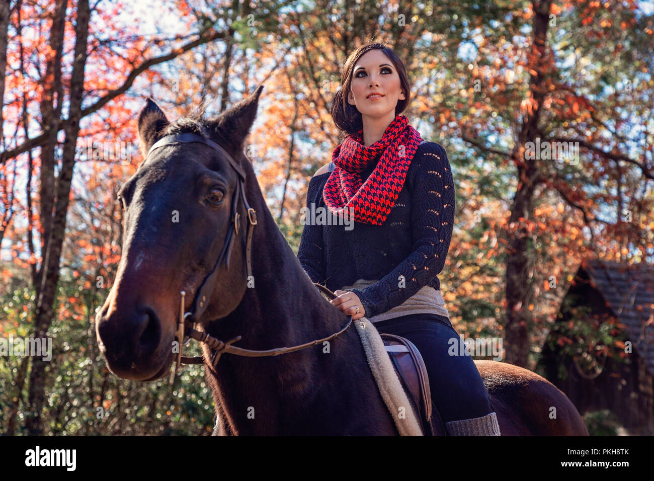 Attractive adult female sitting on her horse against the backdrop of Pisgah National Forest Stock Photo