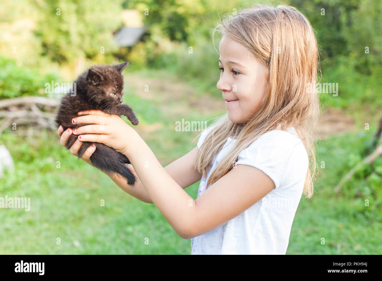 Happy adorable little girl with her domestic kitten outdoors in summer Stock Photo