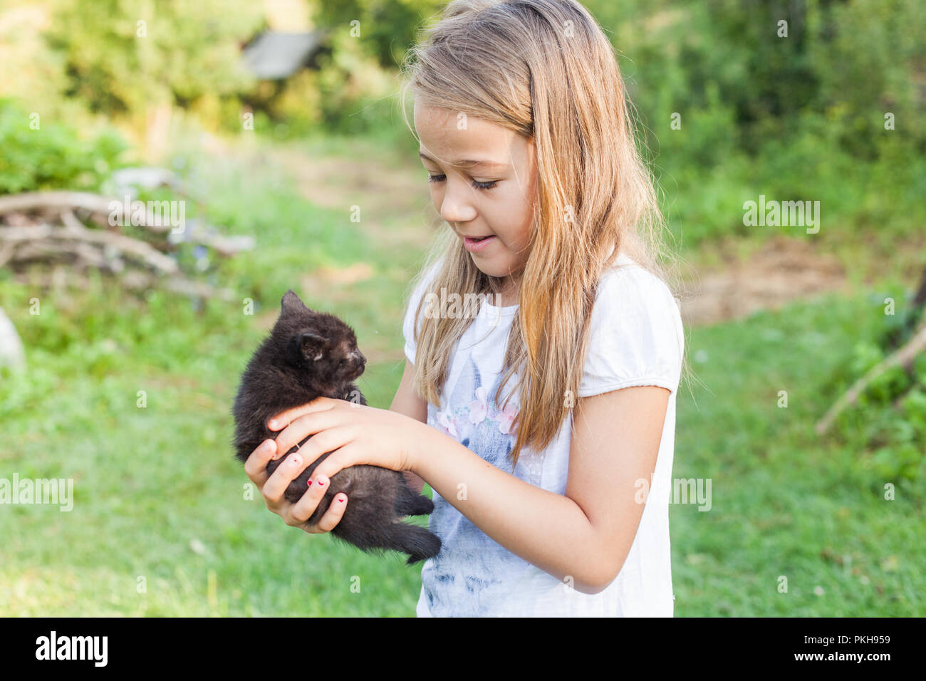 Happy adorable little girl with her domestic kitten outdoors in summer Stock Photo
