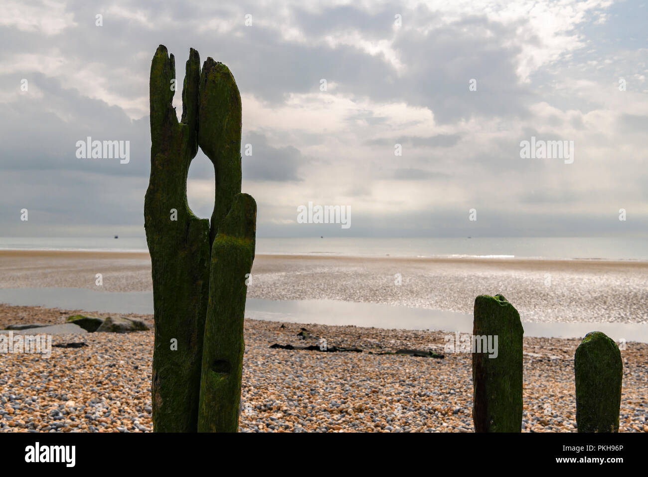 Naturally shaped old sea defences at Rye Bay, East Sussex, England. 30 August 2018 Stock Photo