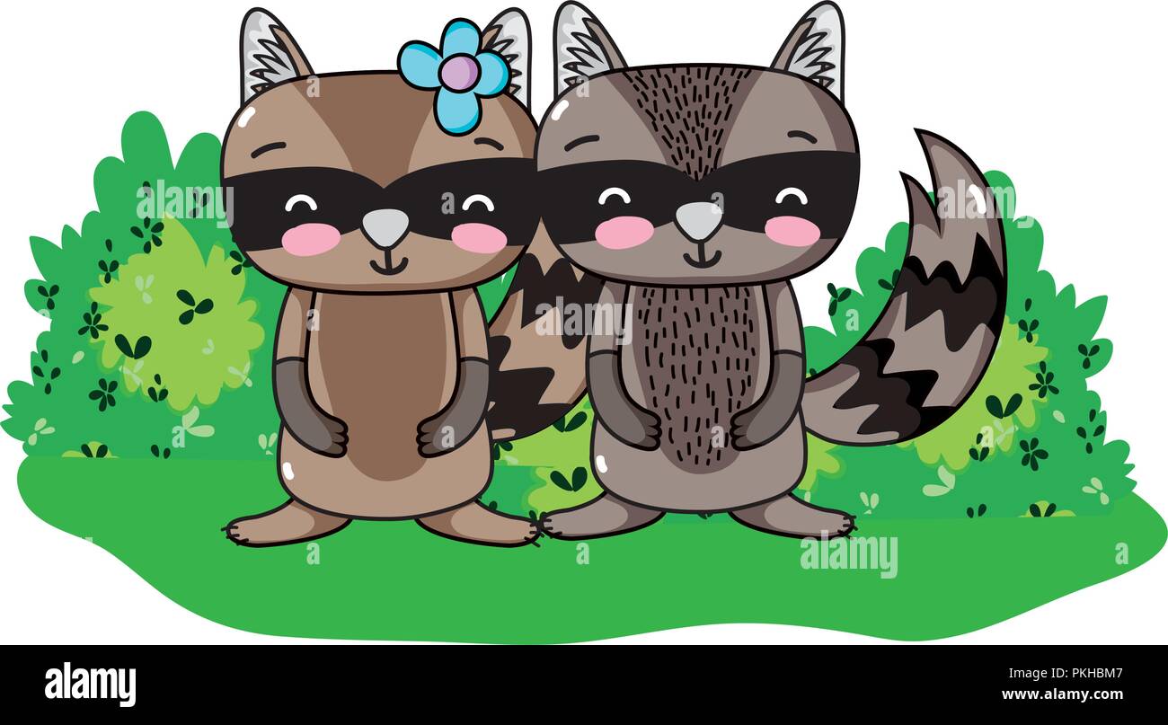 beauty raccoon couple animal and bushes Stock Vector Image & Art - Alamy