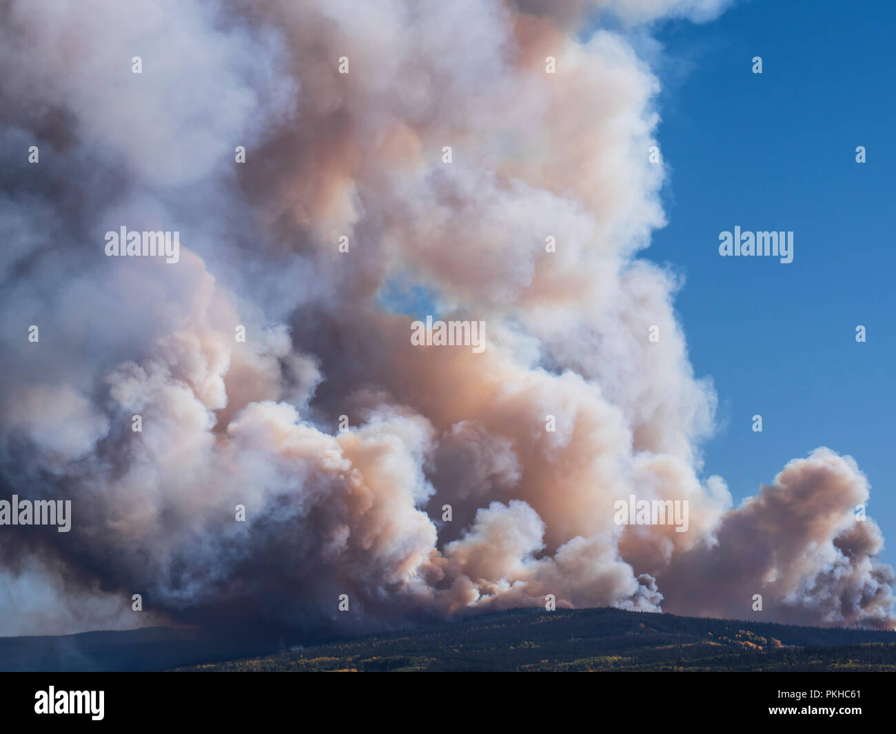 Silver creek fire hires stock photography and images Alamy