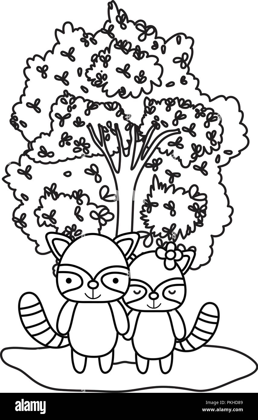 outline beauty raccoon wild animal and tree Stock Vector Image & Art
