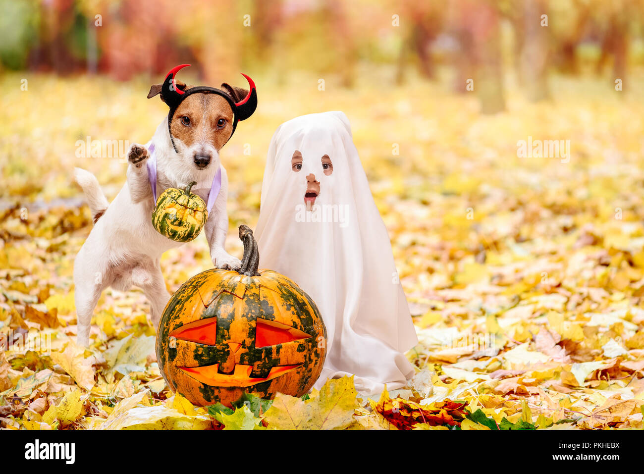 Kid and dog dressed in Halloween costumes with Jack o' lantern pumpkins Stock Photo