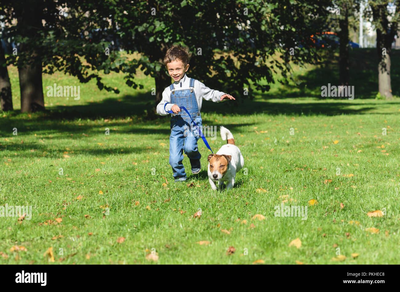 Kid boy running with dog on leash at park lawn Stock Photo