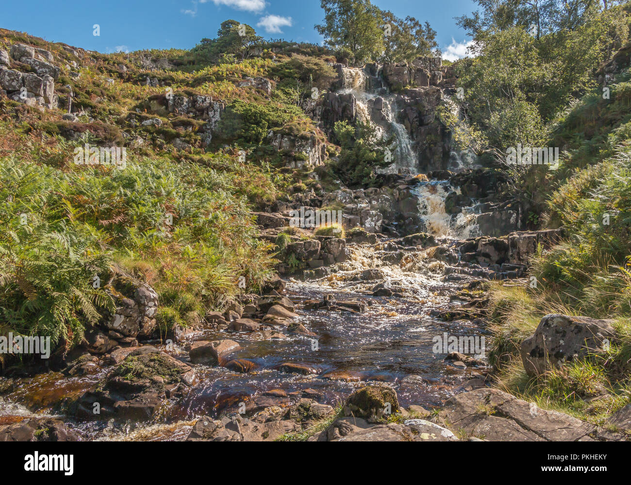 North Pennines AONB landscape, Blea Beck Force waterfall, Upper Teesdale, UK in strong early autumn sunshine Stock Photo