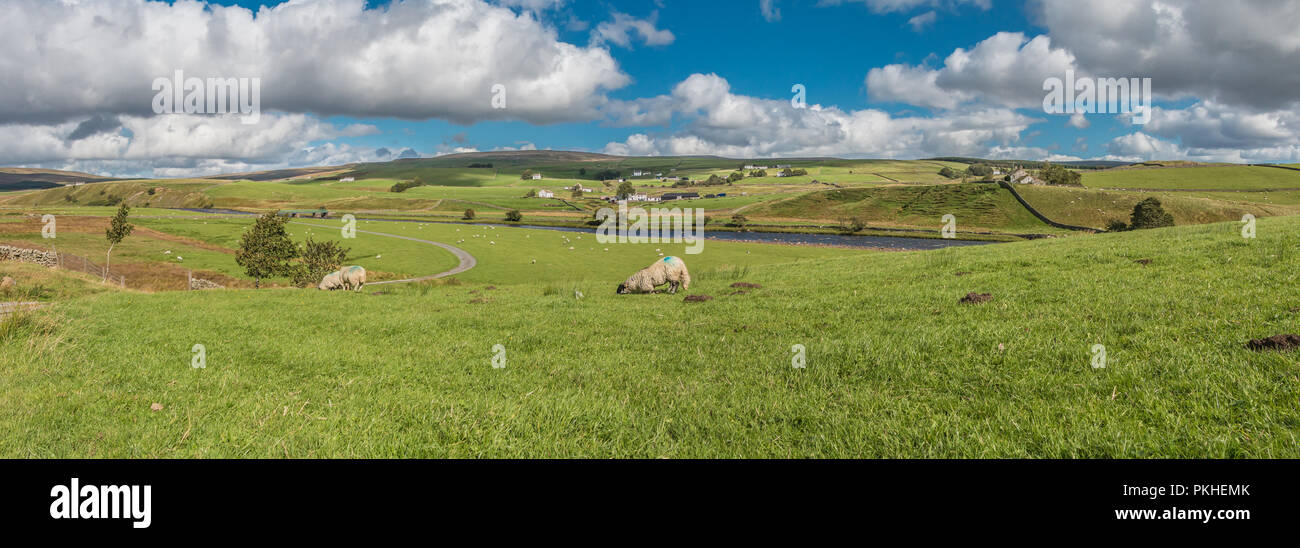 North Pennines AONB panoramic landscape, Forest in Teesdale from Cronkley, Upper Teesdale, UK in strong early autumn sunshine Stock Photo