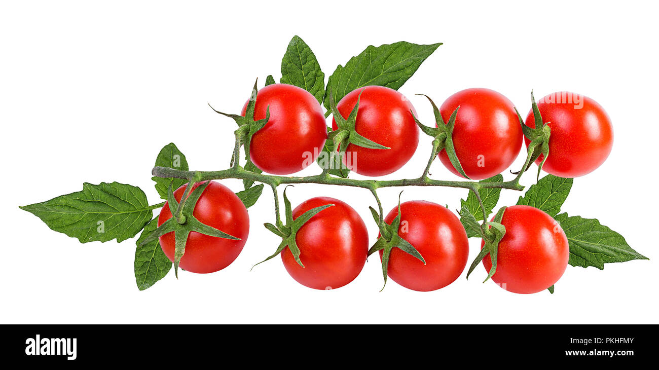 tomato isolated on white background Stock Photo - Alamy