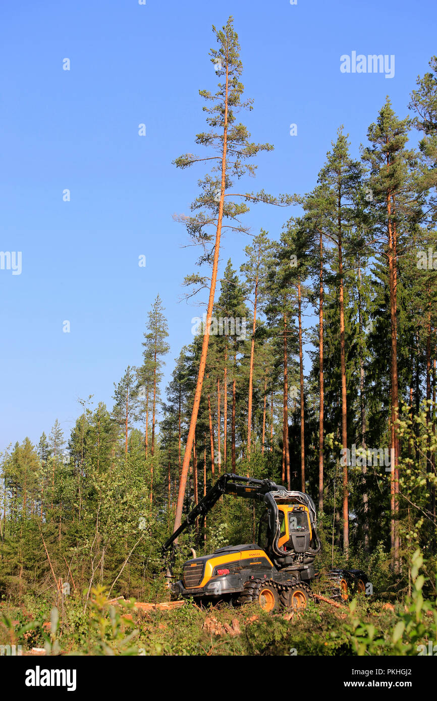 Ponsse Scorpion forest machine operator is cutting and sawing a pine tree at forest logging site on a sunny day. Jyvaskyla, Finland - August 24, 2018. Stock Photo
