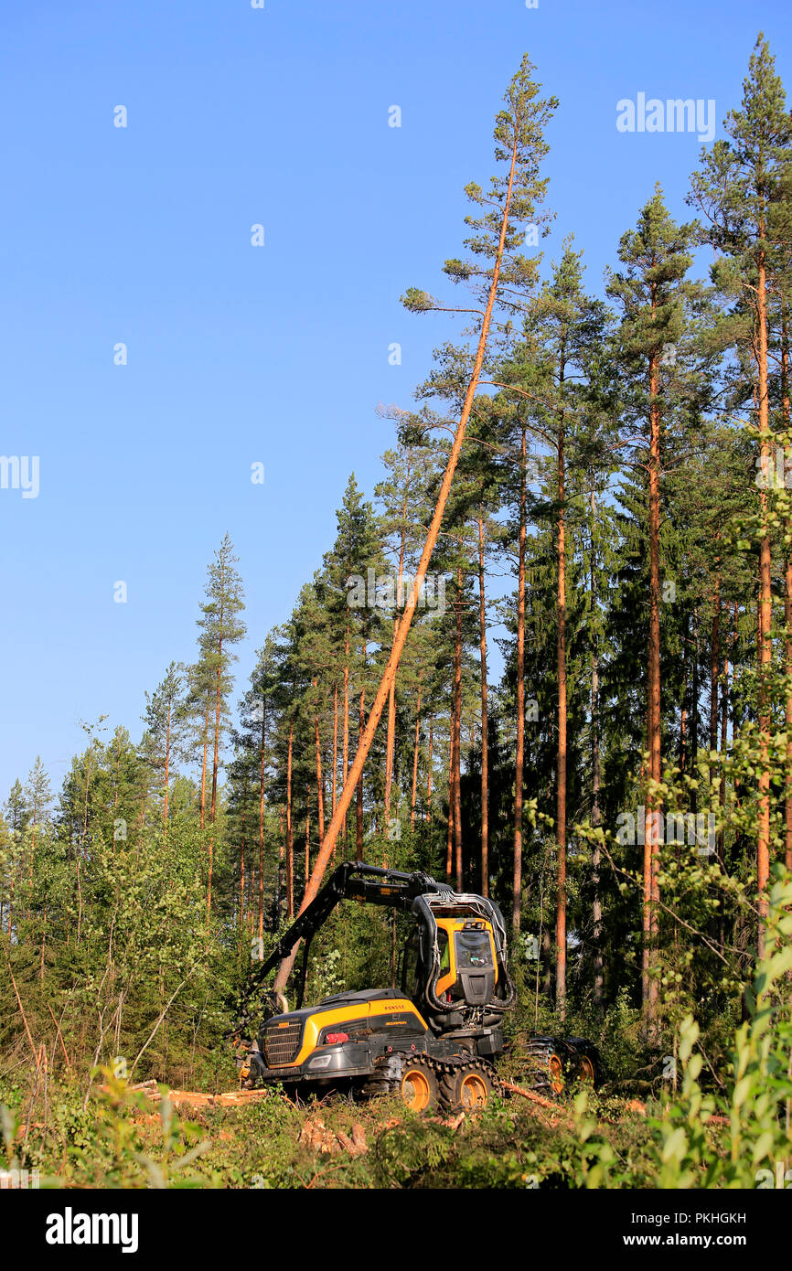 Ponsse Scorpion forest machine operator is cutting and sawing a pine tree at forest logging site on a sunny day. Jyvaskyla, Finland - August 24, 2018. Stock Photo